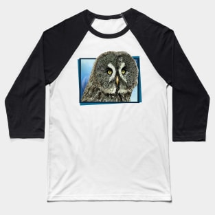 Gray owl Baseball T-Shirt